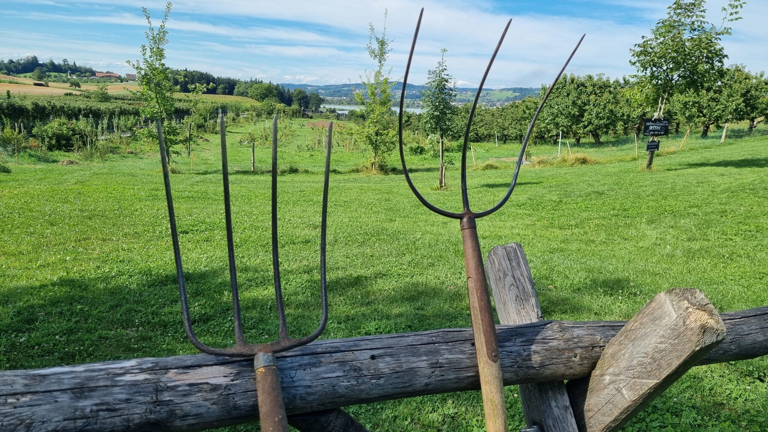 Heu- und Mistgabel im Vergleich