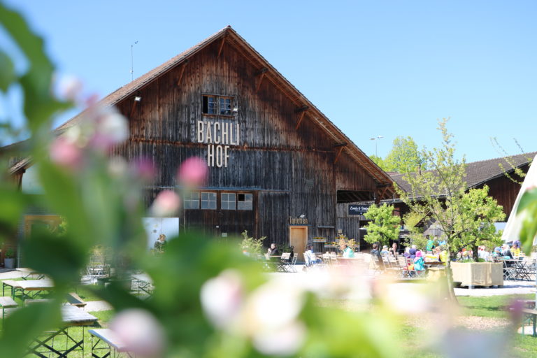 Bächlihof Frühling