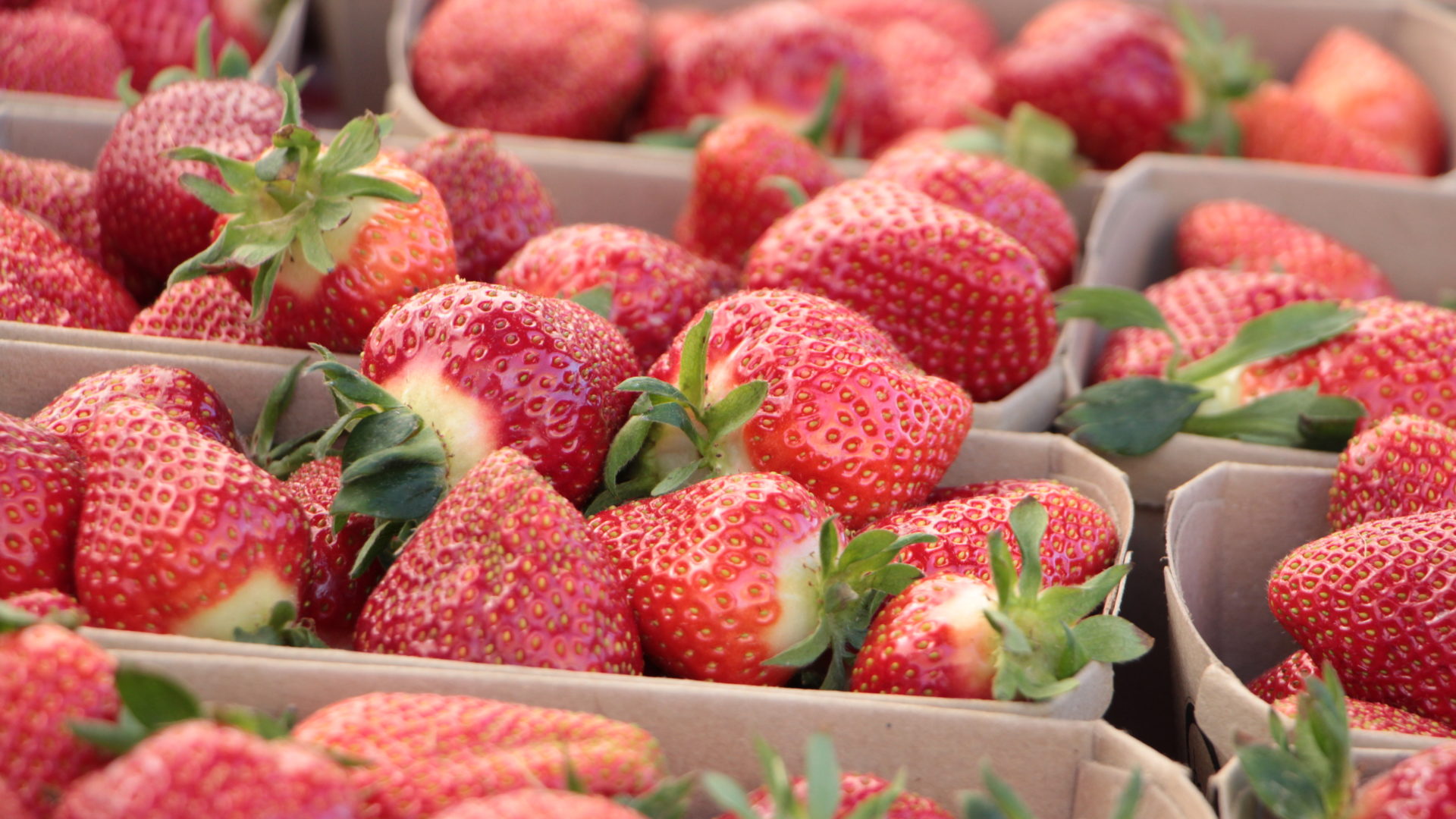 Erdbeeren Hofladen Nah
