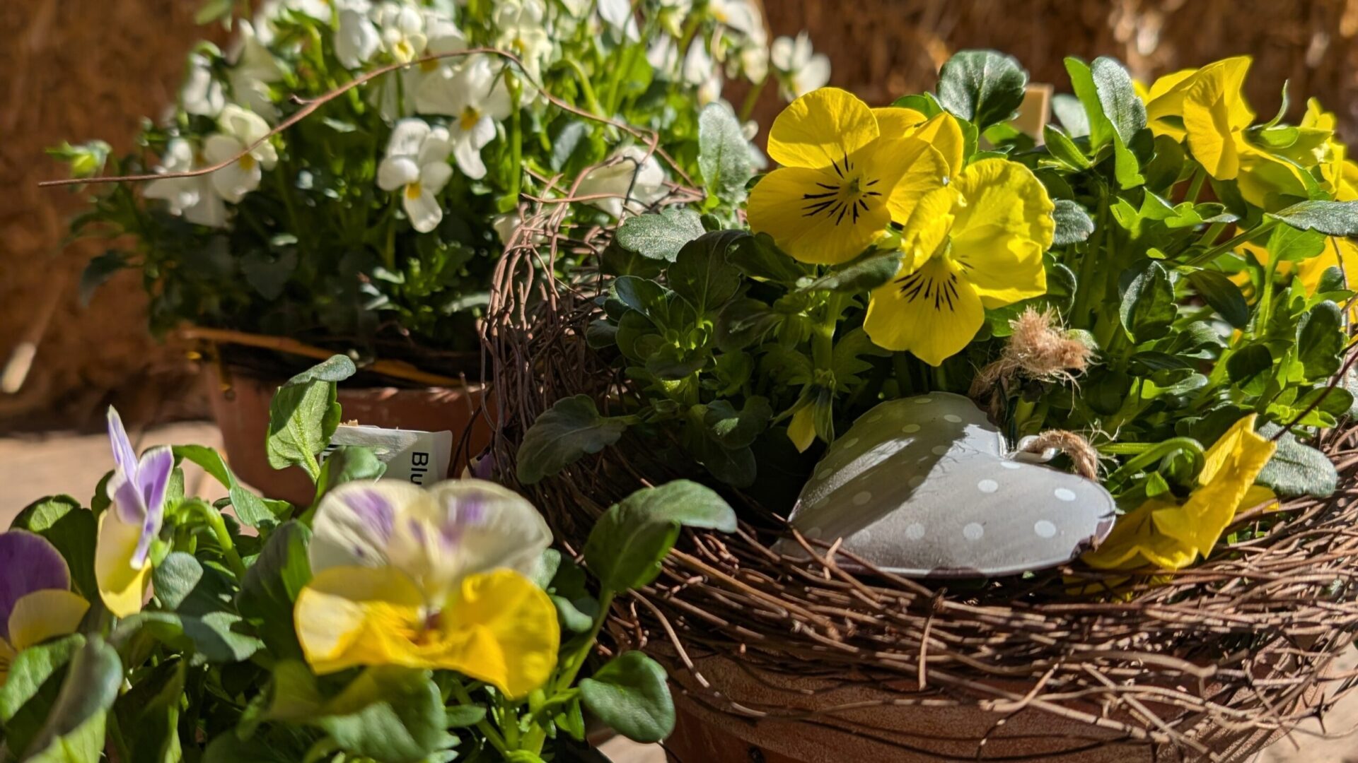 Blümchen für den Muttertag